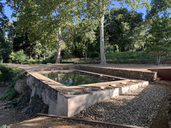 Alberca inferior