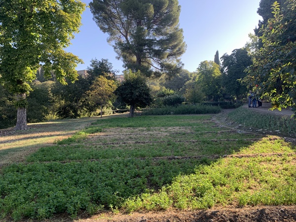 Huerta